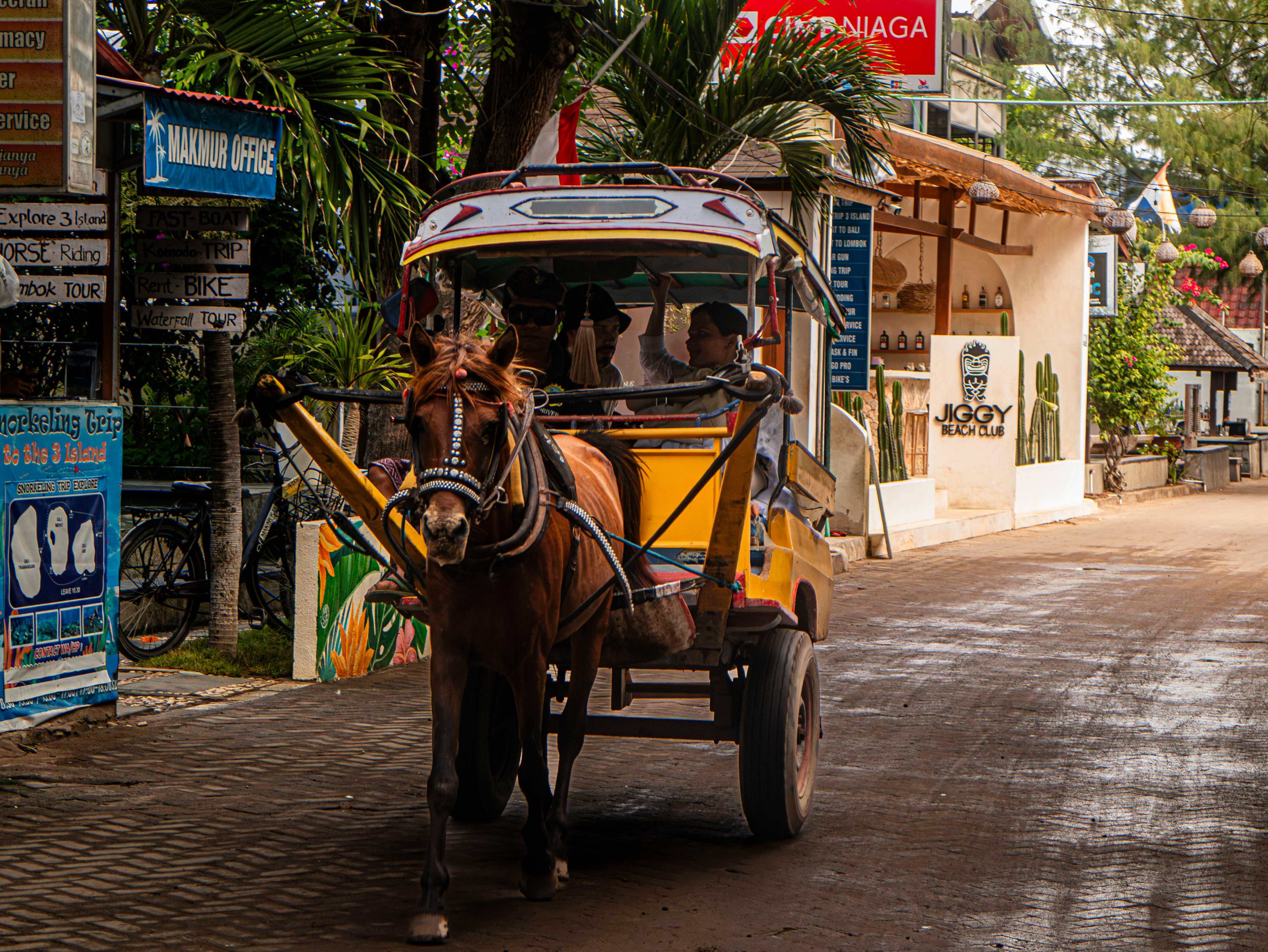 Stay 3 Night and Get 1 Time Cidomo Transfer
